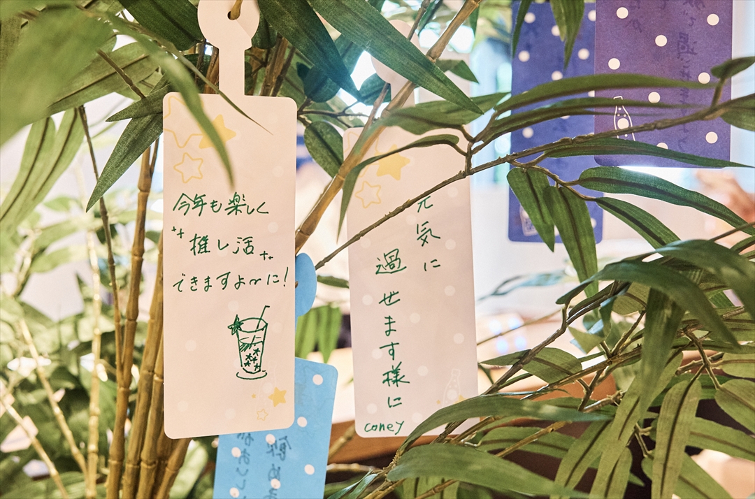 カルピスの星空カフェ