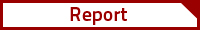 Report